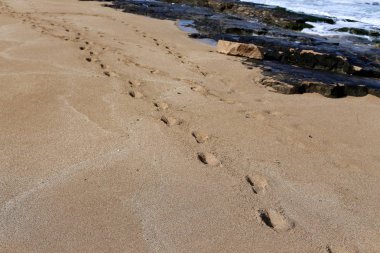 Kumdaki Kuzey İsrail'Akdeniz kıyısında 