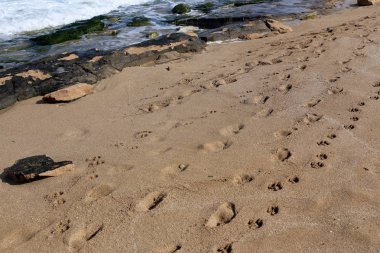 Kumdaki Kuzey İsrail'Akdeniz kıyısında 