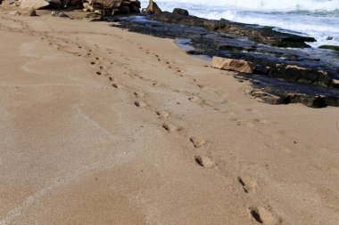 Kumdaki Kuzey İsrail'Akdeniz kıyısında 