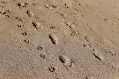 Kumdaki Kuzey İsrail'Akdeniz kıyısında 