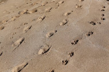 Kumdaki Kuzey İsrail'Akdeniz kıyısında 