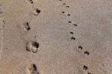 Kumdaki Kuzey İsrail'Akdeniz kıyısında 