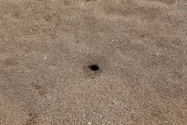 Kumdaki Kuzey İsrail'Akdeniz kıyısında 