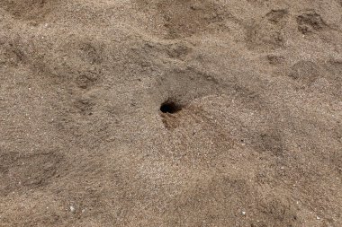 Kumdaki Kuzey İsrail'Akdeniz kıyısında 