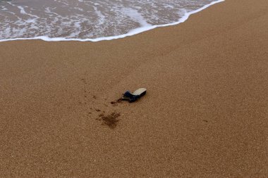 Kumdaki Kuzey İsrail'Akdeniz kıyısında 