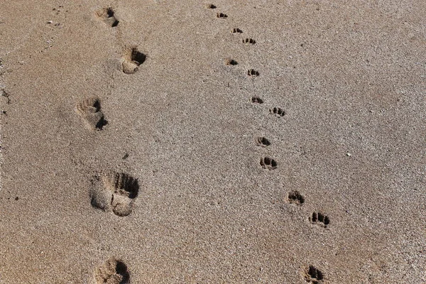 Kumdaki Kuzey İsrail'Akdeniz kıyısında 