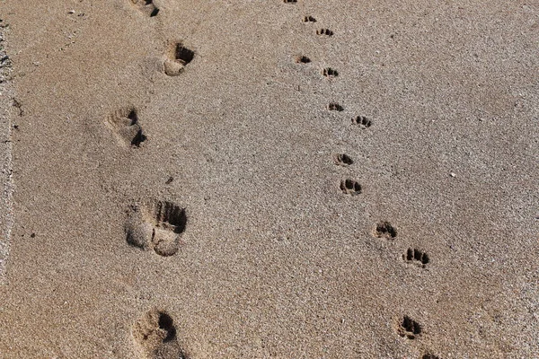 Kumdaki Kuzey İsrail'Akdeniz kıyısında 