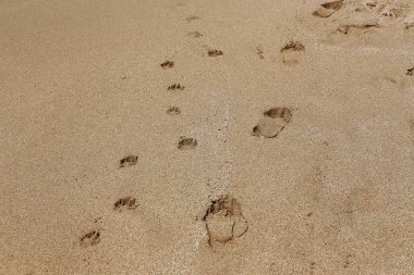 Kumdaki Kuzey İsrail'Akdeniz kıyısında 