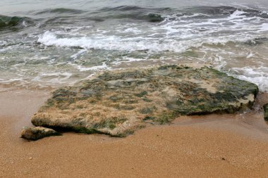 Israil eyaletinin kuzeyinde Akdeniz kıyısı 
