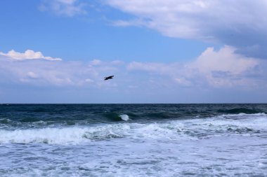 Israil eyaletinin kuzeyinde Akdeniz kıyısı 