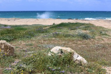 Israil eyaletinin kuzeyinde Akdeniz kıyısı 