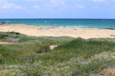 Israil eyaletinin kuzeyinde Akdeniz kıyısı 