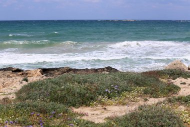 Israil eyaletinin kuzeyinde Akdeniz kıyısı 