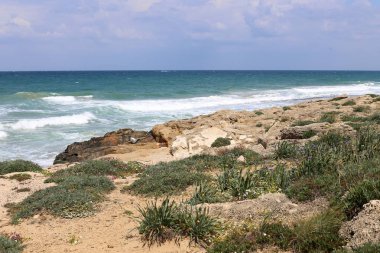 Israil eyaletinin kuzeyinde Akdeniz kıyısı 