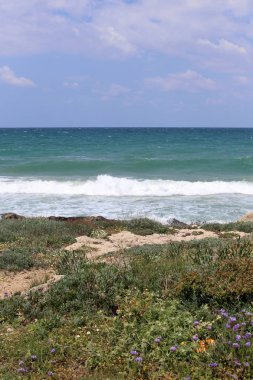 Israil eyaletinin kuzeyinde Akdeniz kıyısı 