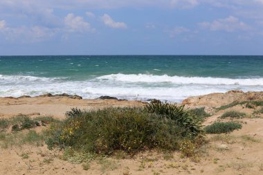 Israil eyaletinin kuzeyinde Akdeniz kıyısı 