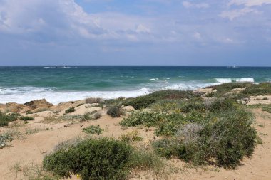 Israil eyaletinin kuzeyinde Akdeniz kıyısı 