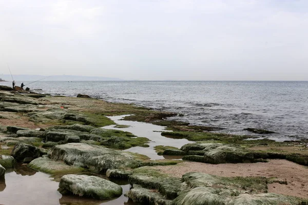 Mittelmeerküste Norden Des Staates Israel — Stockfoto