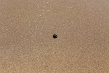 gözlük Akdeniz kıyılarında kumda sahilde yalan 