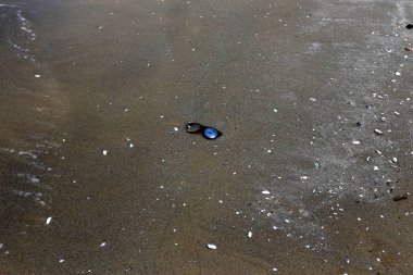 gözlük Akdeniz kıyılarında kumda sahilde yalan 