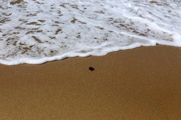 안경은 지중해의 해안에 모래에 해변에 — 스톡 사진