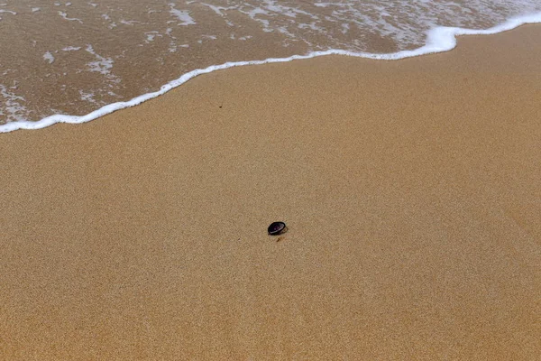 gözlük Akdeniz kıyılarında kumda sahilde yalan 