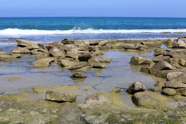 taşlar ve kabuklar Kuzey İsrail'de Akdeniz kıyılarında yalan 