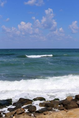 taşlar ve kabuklar Kuzey İsrail'de Akdeniz kıyılarında yalan 