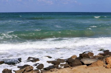 taşlar ve kabuklar Kuzey İsrail'de Akdeniz kıyılarında yalan 