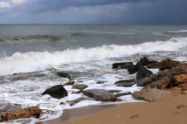 taşlar ve kabuklar Kuzey İsrail'de Akdeniz kıyılarında yalan 