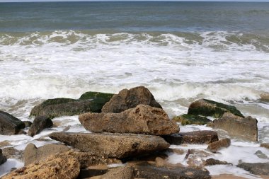taşlar ve kabuklar Kuzey İsrail'de Akdeniz kıyılarında yalan 