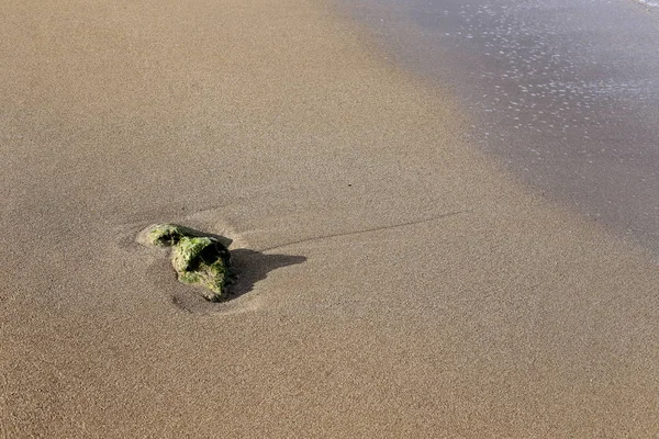 石や貝殻はイスラエル北部の地中海の海岸に横たわっている — ストック写真