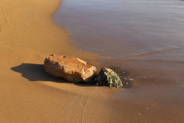taşlar ve kabuklar Kuzey İsrail'de Akdeniz kıyılarında yalan 