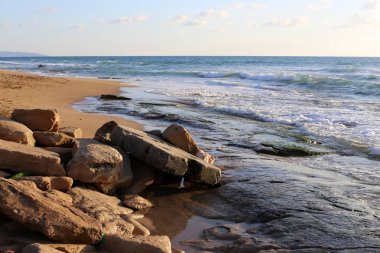 taşlar ve kabuklar Kuzey İsrail'de Akdeniz kıyılarında yalan 