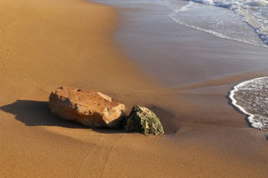 taşlar ve kabuklar Kuzey İsrail'de Akdeniz kıyılarında yalan 