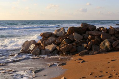 taşlar ve kabuklar Kuzey İsrail'de Akdeniz kıyılarında yalan 