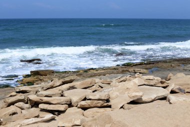 taşlar ve kabuklar Kuzey İsrail'de Akdeniz kıyılarında yalan 