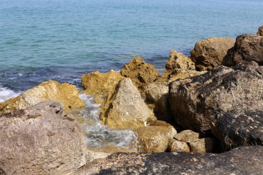 taşlar ve kabuklar Kuzey İsrail'de Akdeniz kıyılarında yalan 