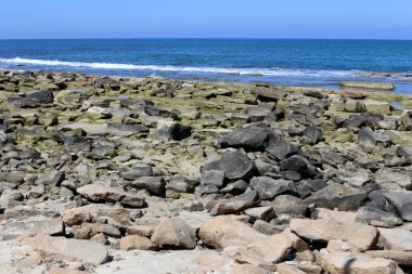 taşlar ve kabuklar Kuzey İsrail'de Akdeniz kıyılarında yalan 