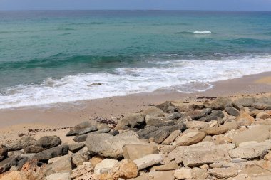 taşlar ve kabuklar Kuzey İsrail'de Akdeniz kıyılarında yalan 