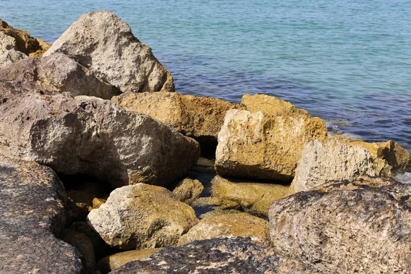 Pierres Coquillages Trouvent Sur Les Rives Méditerranée Dans Nord Israël — Photo