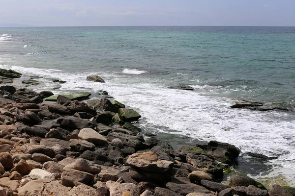 Stones Shells Lie Shores Mediterranean Northern Israel — Stock Photo, Image