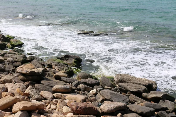 Piedras Conchas Encuentran Las Orillas Del Mediterráneo Norte Israel —  Fotos de Stock