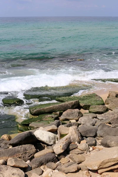 Kamienie Muszle Leżą Nad Brzegiem Morza Śródziemnego Północnym Izraelu — Zdjęcie stockowe