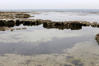 Akdeniz'de İsrail devletinin kuzey kıyısında 
