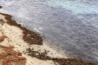 Akdeniz'de İsrail devletinin kuzey kıyısında 