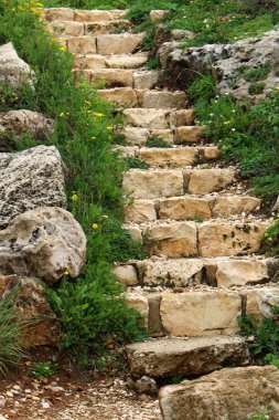 yukarı ve aşağı tırmanmaya merdiven adımlar bir dizi oluşur 