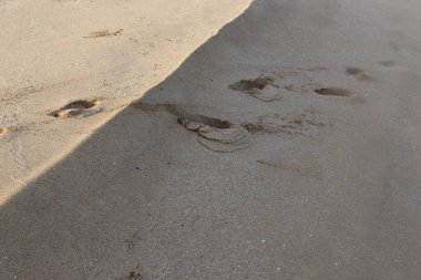 Kumdaki Kuzey İsrail'Akdeniz kıyısında 