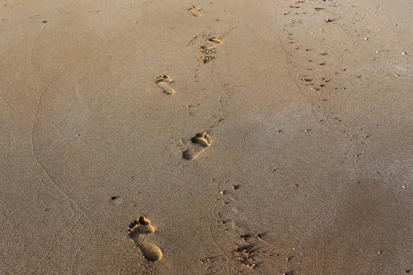 Footprints Sand Shores Mediterranean Northern Israel — Stock Photo, Image