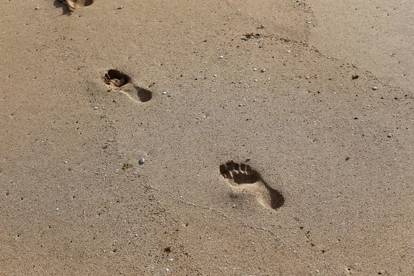 Fußabdrücke Sand Den Ufern Des Mittelmeeres Nordisrael — Stockfoto